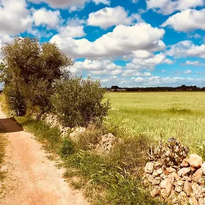 Casa vacanze Arthouse Mit Haus Galeria 110qm Und Appartementhaus Mit Patio 30qm Campos (Mallorca)