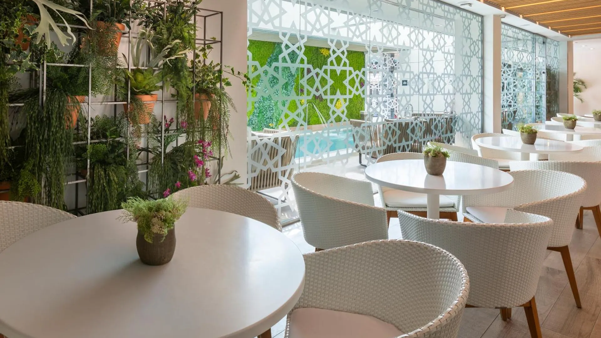 Catalonia Giralda Hotel Sevilla